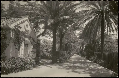 Torremolinos TORREMOLINOS (Málaga) Entrada a la Roca Hotel 1959