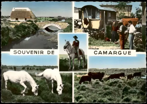 Camargue Mehrbildkarte SOUVENIR DE CAMARGUE u.a. Zigeuner Typen 1955