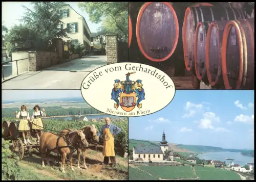 Nierstein Mehrbildkarte Gerhardtshof mit Weinbau-Szenen und Rheinpanorama 1980
