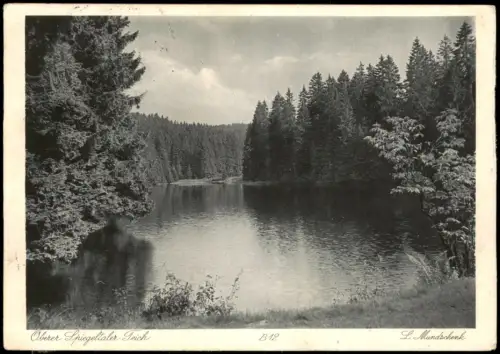 Ansichtskarte Wildemann-Clausthal-Zellerfeld Oberer Spiegeltaler Teich 1936
