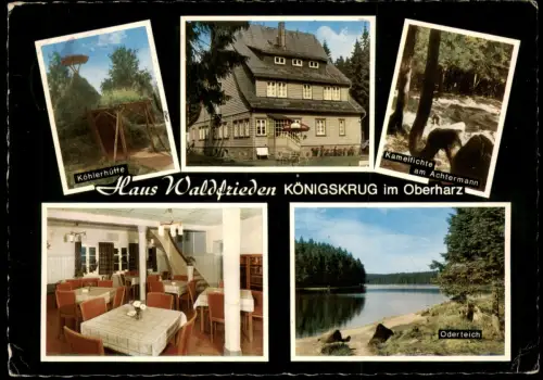 Braunlage Mehrbildkarte mit Haus Waldfrieden, Köhlerhütte, Kamelfichte   1970