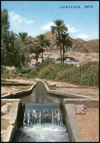 Jericho יְרִיחוֹ أريحا Eliasbrunnen mit Blick auf den Berg der Versuchung 1970