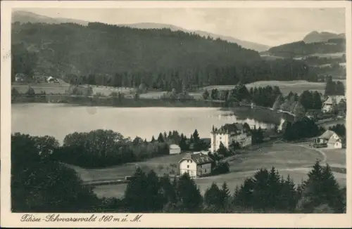 Titisee-Neustadt Blick über  Uferbebauung und Schwarzwaldlandschaft 1931