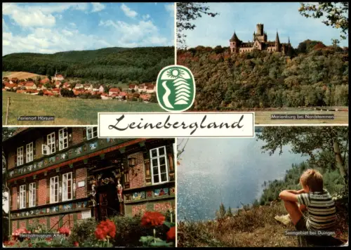 Ansichtskarte Pattensen Mehrbildkarte Leinebergland 1980