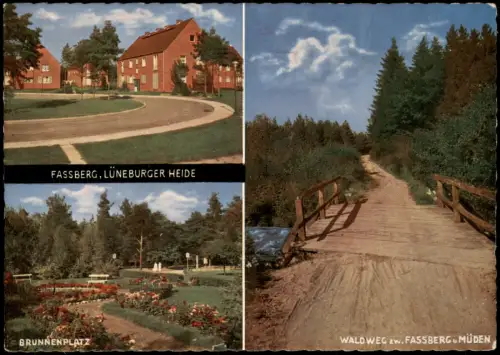 Faßberg Mehrbildkarte Faßberg mit Brunnenplatz und Waldweg 1960