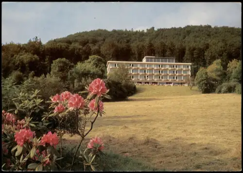 Ansichtskarte Bad Pyrmont Bomberg-Hotel mit Parkanlage 1970