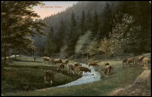 Ansichtskarte  Weidende Kühe am Bachlauf 1910