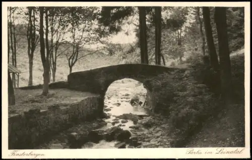 Ansichtskarte Finsterbergen-Friedrichroda Steinbrücke im Leinatal 1915