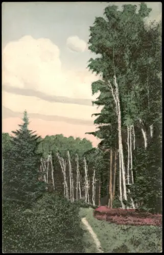 Ansichtskarte Bad Fallingbostel Motiv am Wege Fallingbostel-Küttelse 1907