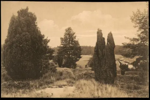 Ansichtskarte Elferdingen-Bomlitz Das Böhmertal 1930