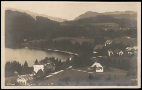 Ansichtskarte Titisee Panorama-Ansicht des Titisees mit Uferbebauung 1935