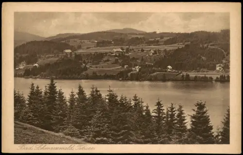 Ansichtskarte Titisee-Neustadt Badeparadies Schwarzwald 1940
