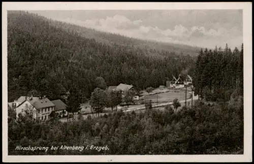 Ansichtskarte Hirschsprung-Altenberg (Erzgebirge) Gasthaus Ladenmühle 1950