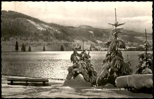 Titisee-Neustadt Titisee (Schwarzwald) Verschneit Stimmungsbild 1961
