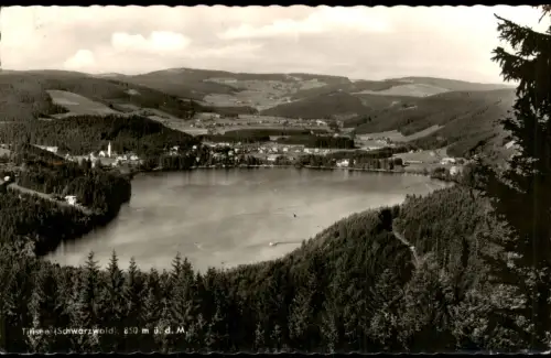 Ansichtskarte Titisee-Neustadt Panorama vom Titisee (Schwarzwald) 1958