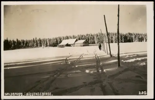 .Tschechien WALDBAUDE RIESENGEBIRGE Echtfoto-AK Stimmungsbild Winter 1929