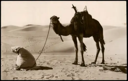 Ansichtskarte  Betender in der Wüste mit Kamel 1930