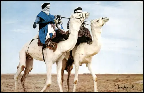 Postcard Algerien Algeria Méharistes au Sahara 1970