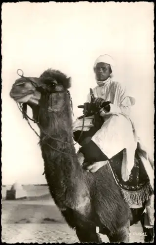 Postcard Marokko Allgemein Junger Kamelreiter mit seinem Mehari 1950