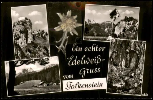 Falkenstein Mehrbildkarte mit echtem Edelweiß, Burgruine  Lourdesgrotte 1955