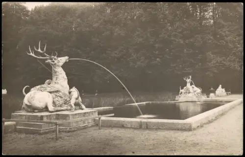 Ansichtskarte Schwetzingen Hirschgruppe im Schlossgarten 1907