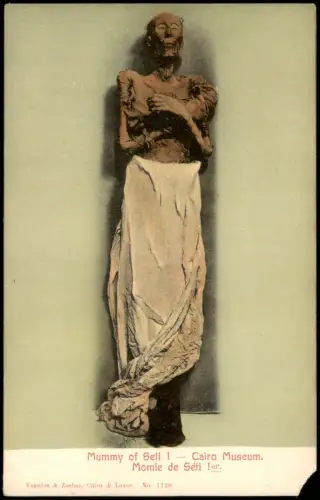 Kairo القاهرة Mumie Museum Mummy of Seti I Momie de Séti Ier 1910