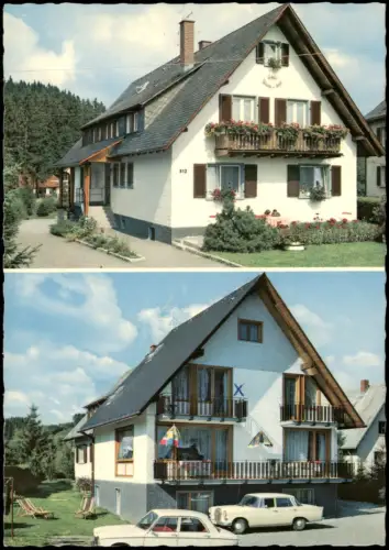 Titisee-Neustadt Fremdenheim Wald und See Autos u.a. alter Mercedes 1965