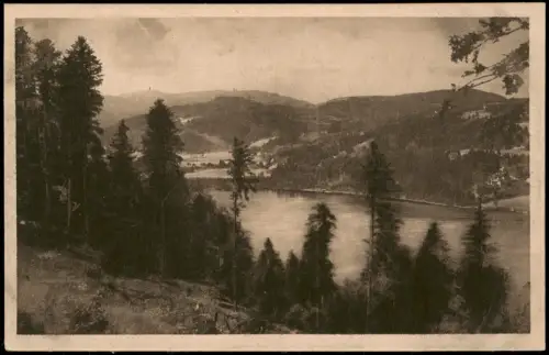 Ansichtskarte Titisee-Neustadt Umland-Ansicht Titisee mit Feldberg 1922