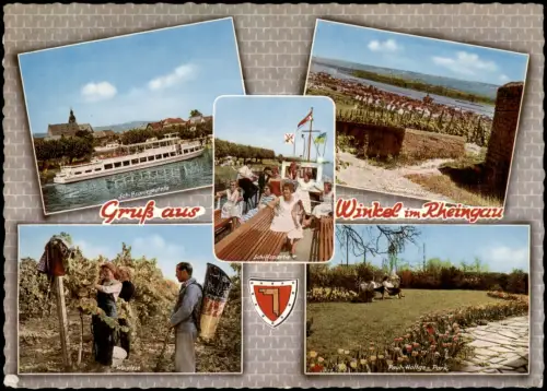 Oestrich-Winkel Mehrbild-AK Ortsansichten, Wein Winzer, Rhein-Schiff 1964