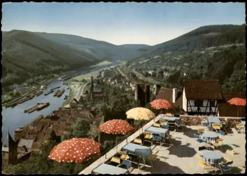 Hirschhorn (Neckar) Panorama mit Schloß-Hotel auf der Burg am Neckar 1959
