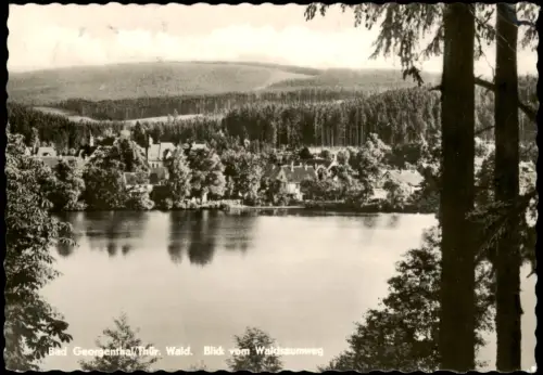 Georgenthal (Thüringen) Blick vom Waldsaumweg zur DDR-Zeit 1964