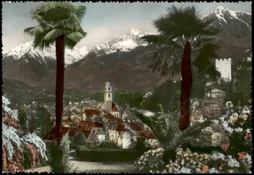 Cartolina Meran Merano Panorama-Ansicht Palmen & Berge 1960