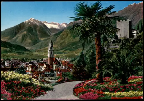 Cartolina Meran Merano Palme & Berge Gruppo Tessa Texelgruppe 1970