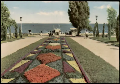 Postcard Warna Варна BAPHA VARNA Ansicht vom Goldstrand 1965