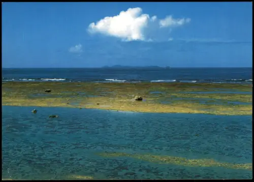 Postcard Japan Japan Nippon 日本 沖縄の海 Okinawa 1980