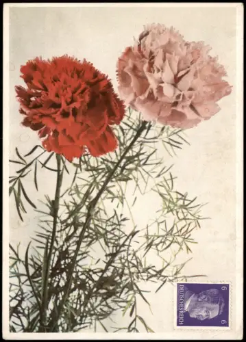 Ansichtskarte  Fauna Pflanzen Blumen (Flowers) 1943