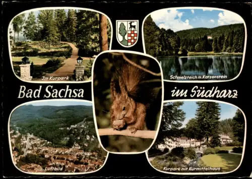 Bad Sachsa Mehrbild-AK mit Luftbild, Kurpark, Schmelzteich Partie 1966