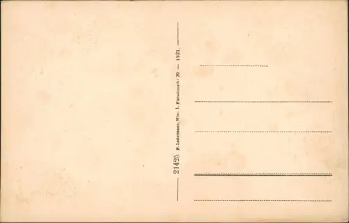 Ansichtskarte Hohenberg In der Lurg. 1921