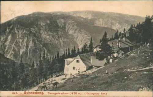 Ansichtskarte Schneeberg (bei Puchberg) Baumgartnerhaus Hintergrund Rax 1908