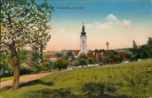 Ansichtskarte Scharten Oberösterreich Stadtpartie Baumblüte Windrad 1913