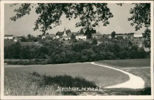 Ansichtskarte Steinhaus (Oberösterreich) Weg zur Stadt 1931
