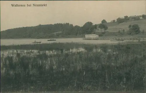 Ansichtskarte Neumarkt am Wallersee Seesteg - Boote 1912