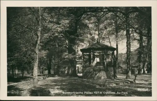 Ansichtskarte Pöllau Steiermark Au-Park, Pavillon 1935