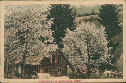 Ansichtskarte Mariensee am Wechsel Almbauerstübl Baumblüte 1912