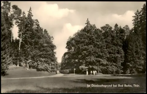 Ansichtskarte Bad Berka Im Dambachsgrund zur DDR-Zeit 1968