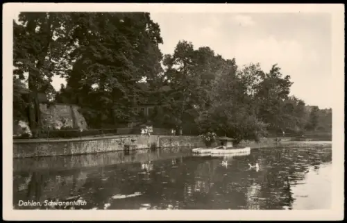 Ansichtskarte Dahlen Schwanenteich Partie zur DDR-Zeit 1954