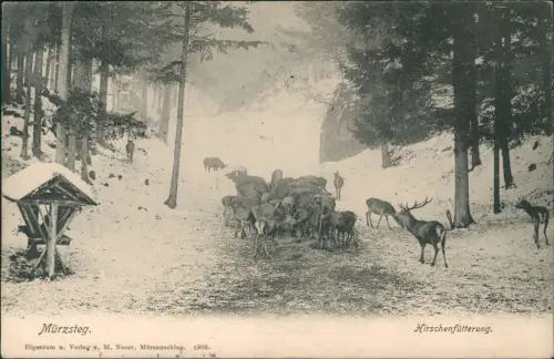 Ansichtskarte Mürzsteg-Mürzzuschlag Hirschenfütterung im Winter 1923