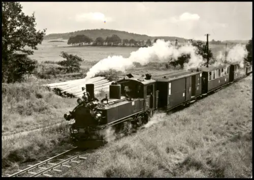 Ansichtskarte Berbisdorf-Radeburg Zug am Haltepunkt - Berbisdorf 1978