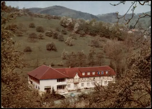 Winkel/Odenwald-Lindenfels (Bergstraße) Pension Zum Wiesengrund 1971