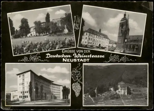 Neustadt an der Weinstraße N Haardt MB mit 4 Ortsansichten Weinstrasse 1962